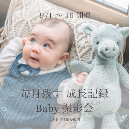 Instagram（毎月）