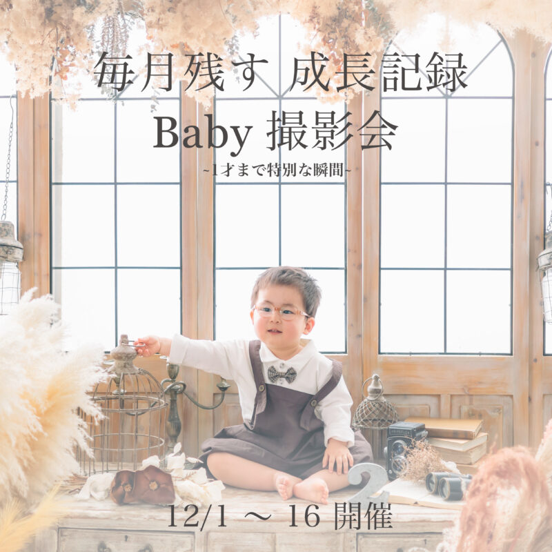 Instagram（毎月）