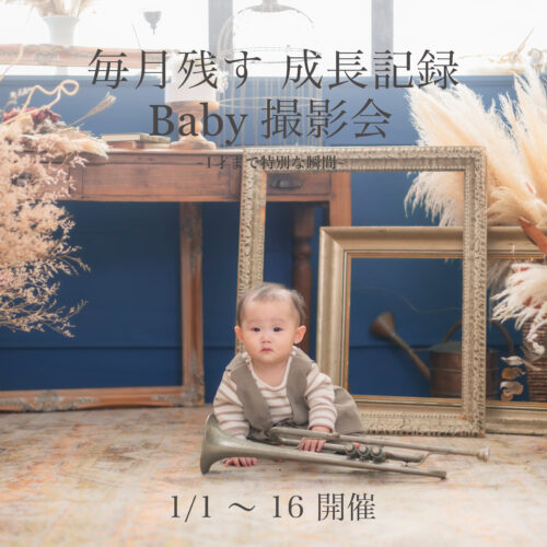 Instagram（毎月）